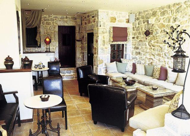 皮尔戈斯迪鲁Katafigi的客厅配有家具和石墙