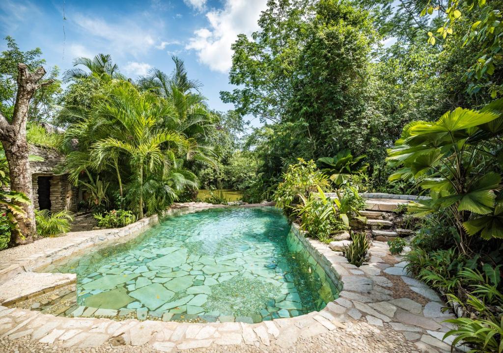 帕伦克金塔夏娜布娜精品酒店的花园中树木繁茂的游泳池
