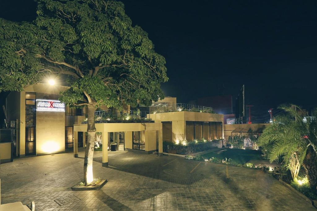木尔坦Avari Boutique Multan的夜晚在建筑物前的树