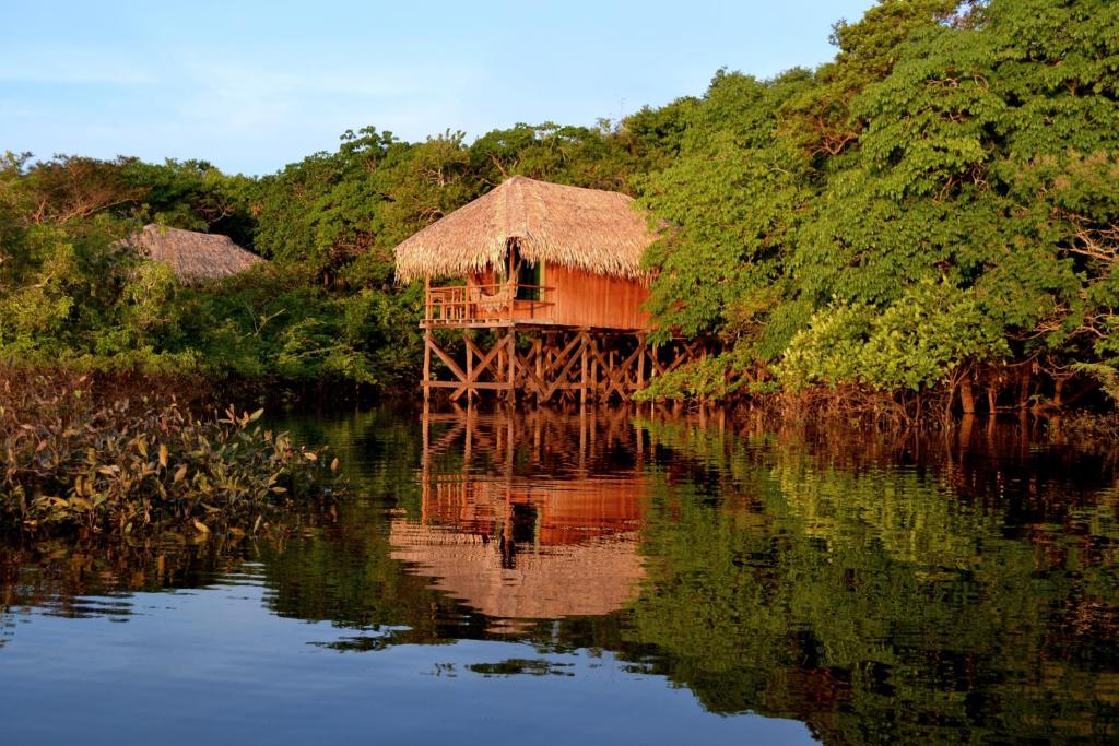Autazes亚马逊祖马酒店的水体中间的小屋