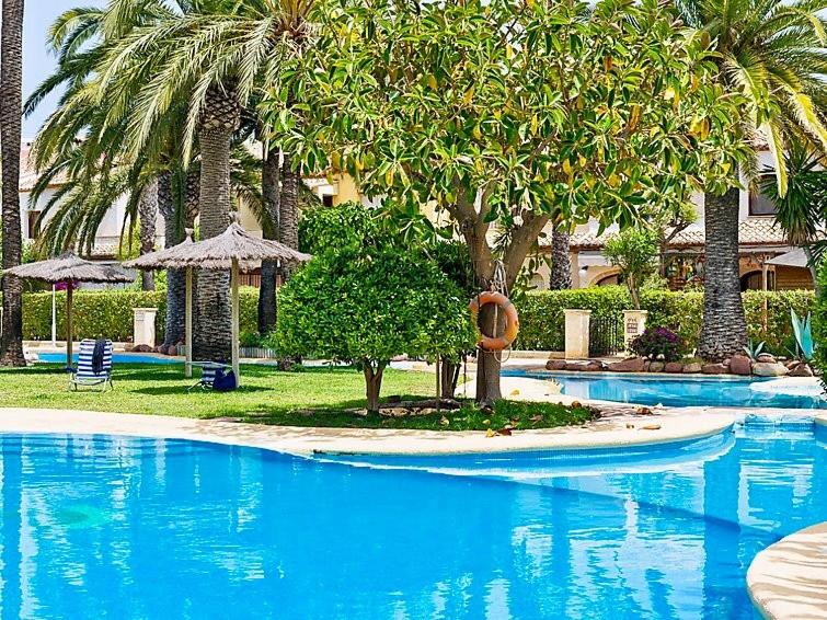 哈维亚Royal Garden Santa Clara的度假村内一座种有棕榈树的大型游泳池