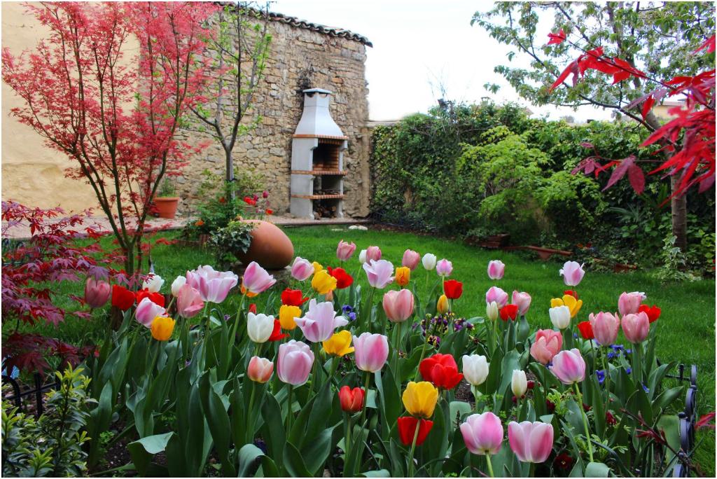Miranda de ArgaCasa Rural Xixa Landetxea的一座花园,在一座建筑前方,花园内有五颜六色的郁金香