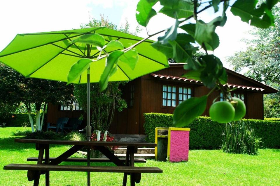 XicoCabanas la Chicharra的房屋前带绿伞的野餐桌
