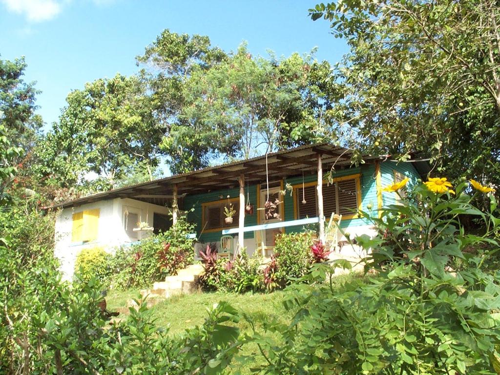 El Hoyo del CacaoEcotopía Park的花园中的小房子