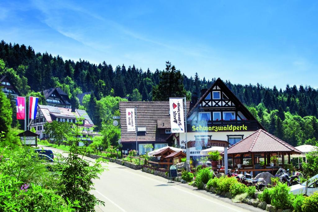 萨巴赫瓦登Hotel-Berggasthof Schwarzwaldperle的山中的一个小镇,有一条路