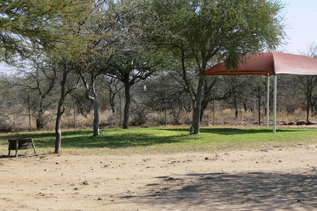 奥卡汉贾Ombo Rest Camp的公园里的一个红伞,有树