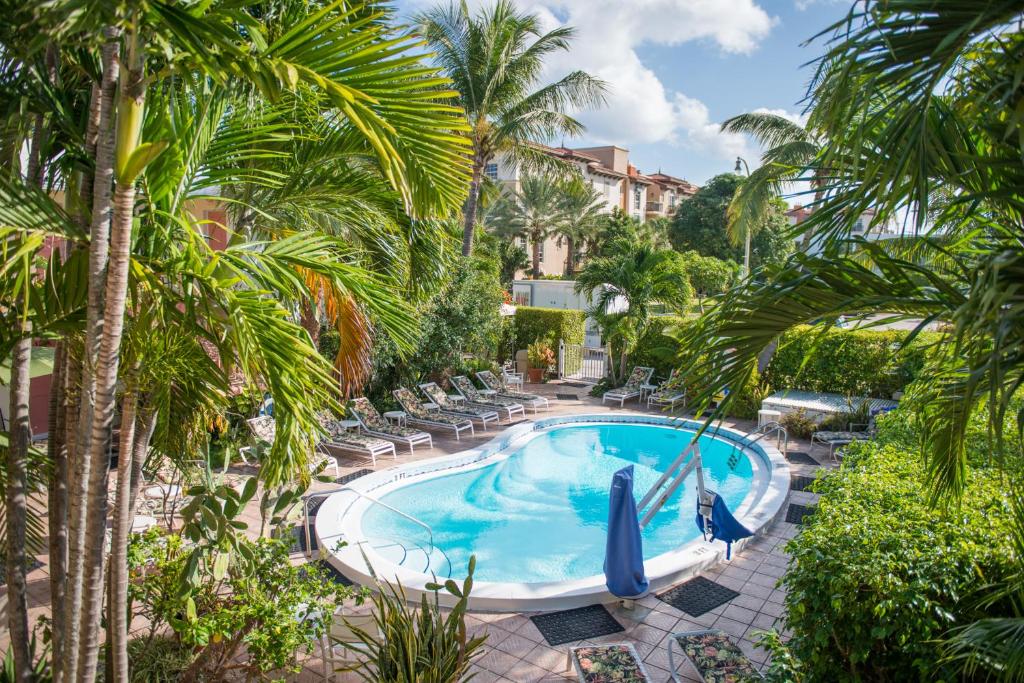 劳德代尔堡肖沙湾度假旅馆的享有棕榈树游泳池的顶部景致