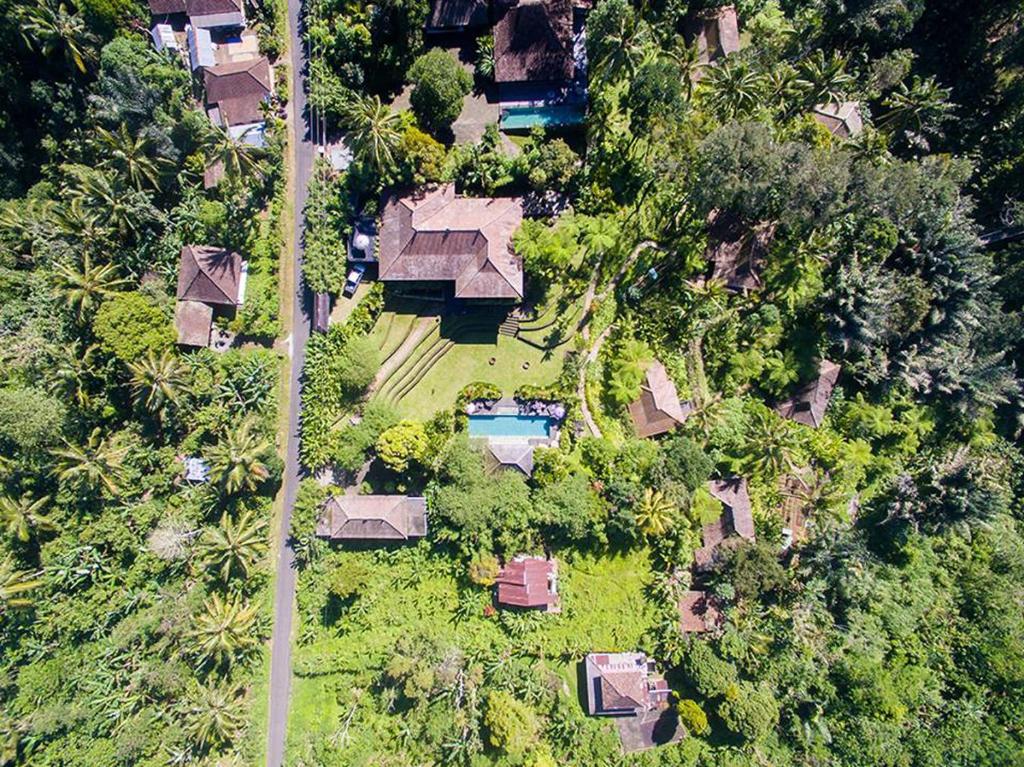 塞莱马德加爱拉萨里种植园度假村的享有带游泳池和树木的度假村的空中景致