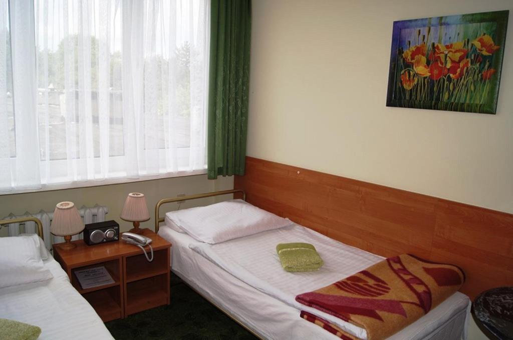 苏莱胡夫HOTEL ODR的小房间设有两张床和窗户