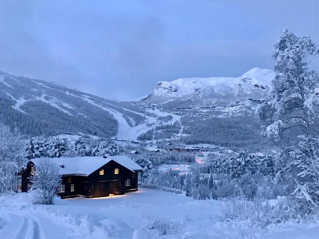 海姆瑟达尔基克波恩海特酒店的雪中小屋与山