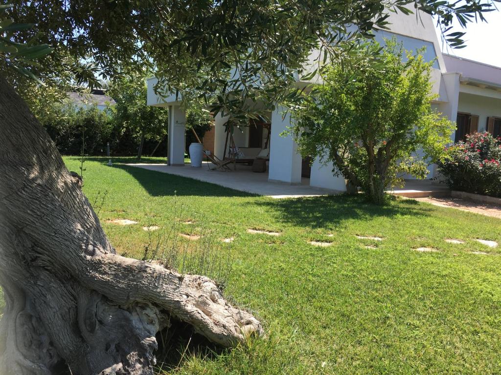 滨海波利尼亚诺Nel Blu Dipinto Di Blu的树干躺在房子旁边的草丛中