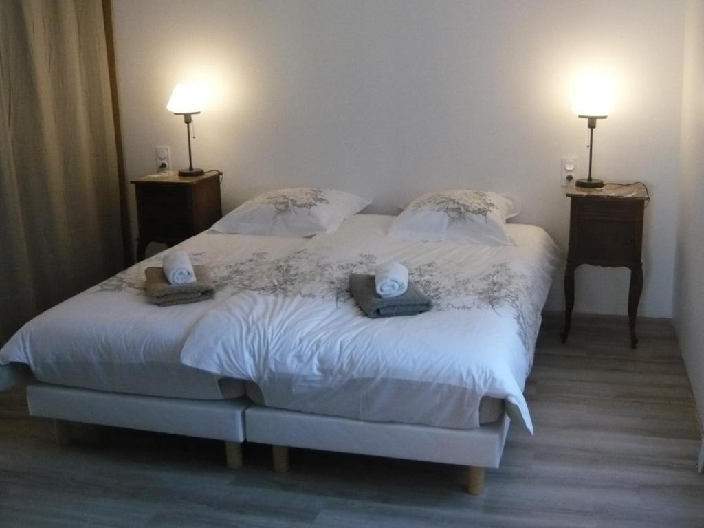 斯特拉斯堡Maison des écluses Strasbourg F3 90m2 Jacuzzi Climatisation的一间卧室配有一张带两个枕头的床