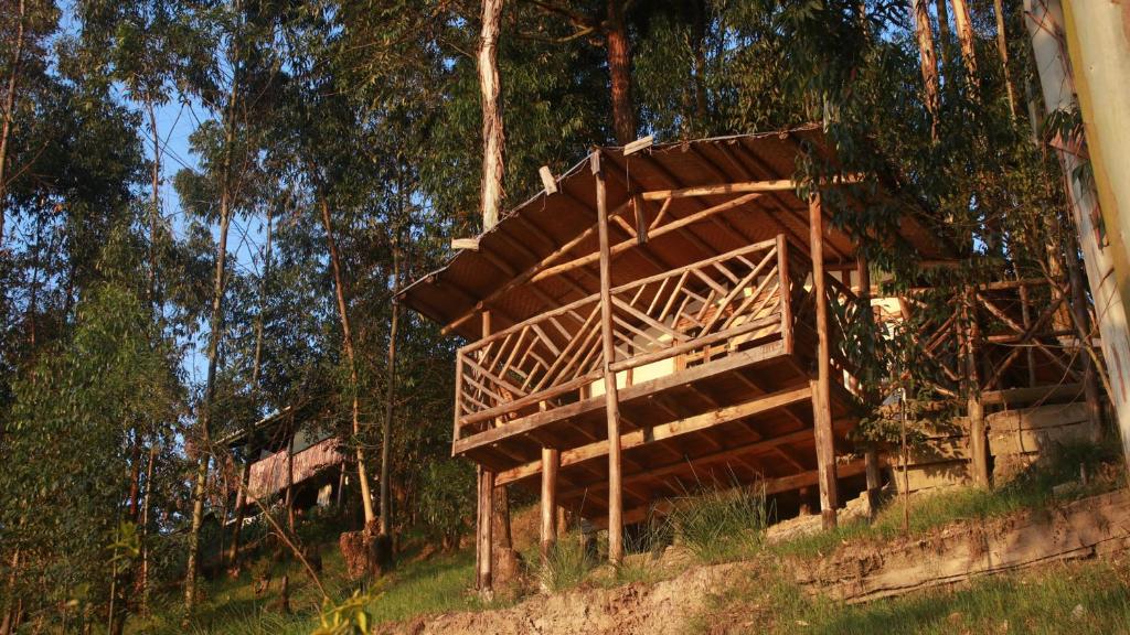 卡巴莱Amasiko Homestay Lake Bunyonyi的森林中间的木结构建筑