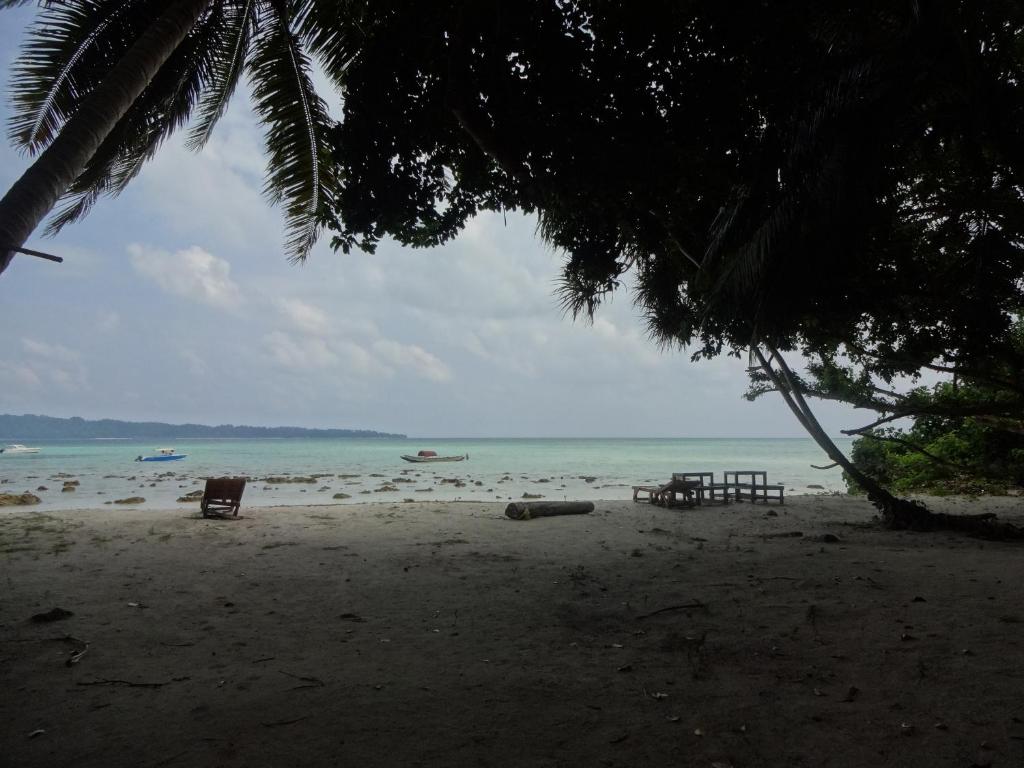 哈夫洛克岛Gold India Beach Resort的海滩上摆放着椅子,大海和棕榈树