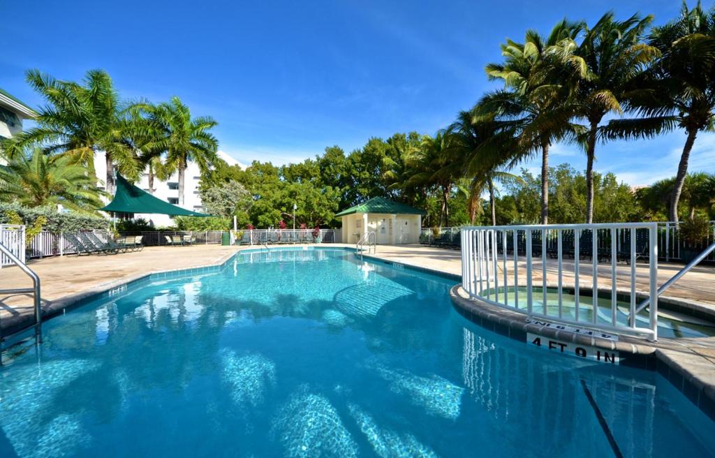 基韦斯特Sunrise Suites Cayo Coco Suite #208的一座棕榈树环绕的大型游泳池