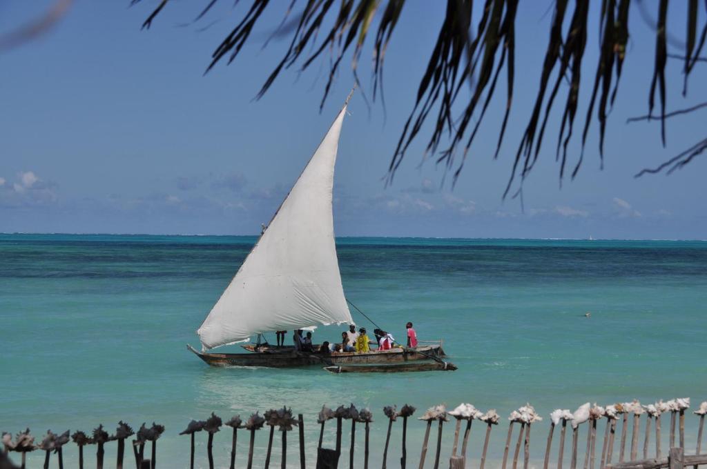 江比阿Mango Beach House的一群人乘着一艘帆船在海洋里