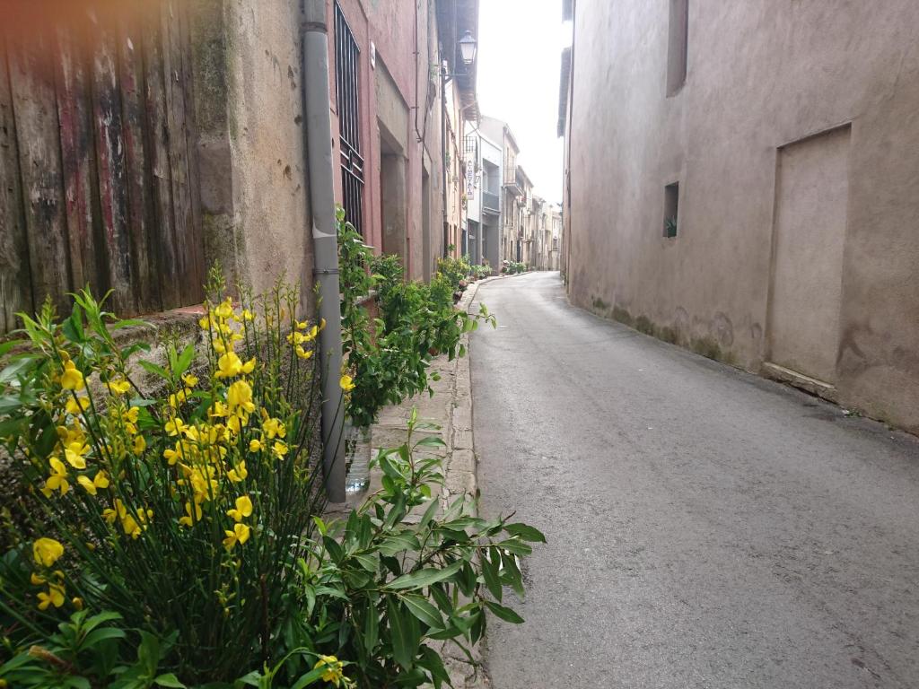 CastelltersolCal Ton的一条开满黄色花的空小巷