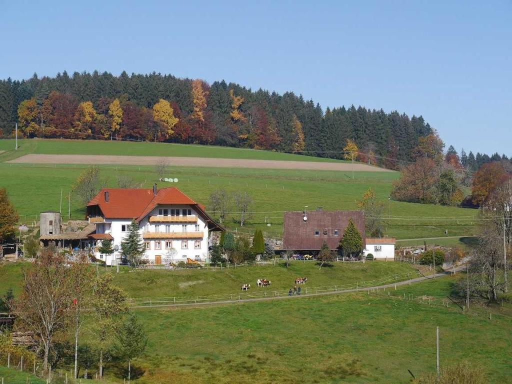 巴登-符腾堡Dischhof的田野里马的房子