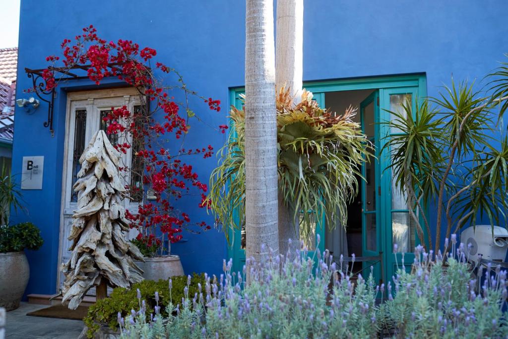 悉尼邦迪海滩别墅住宿加早餐旅馆的前面有植物的蓝色房子