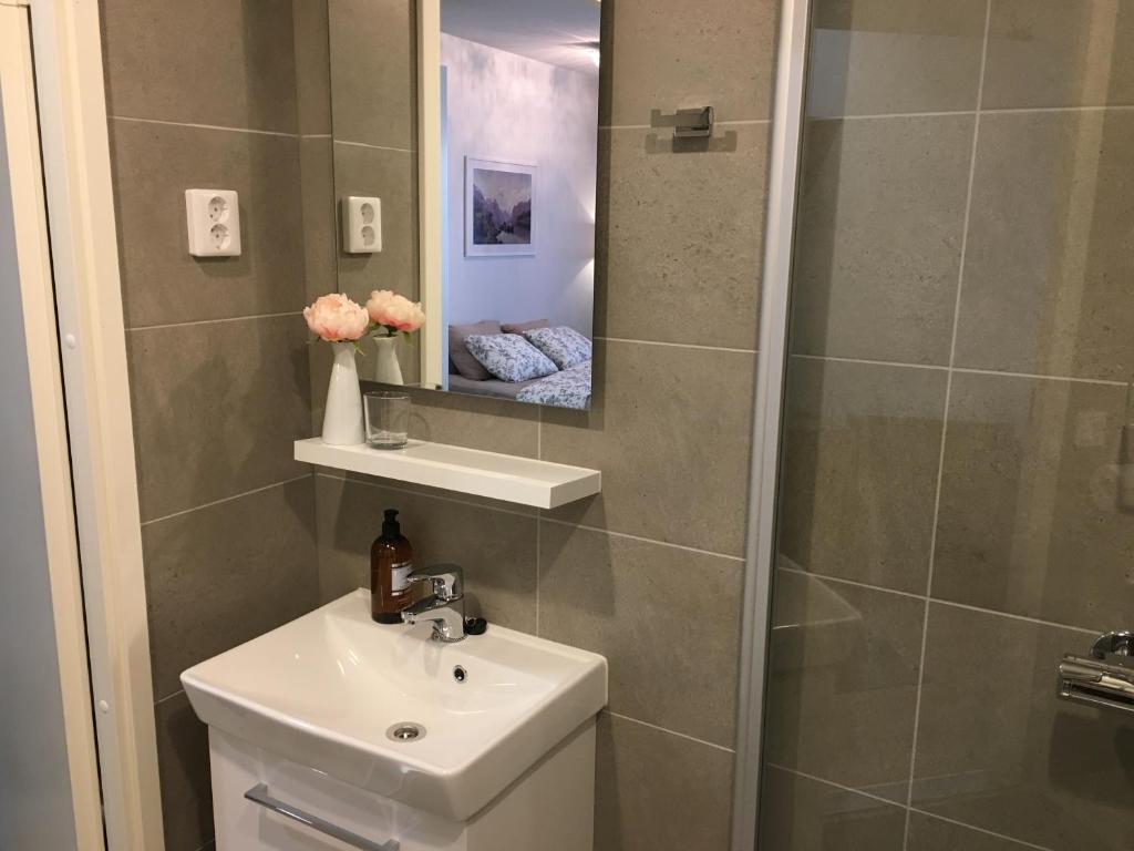 拉赫蒂Lahti City Home的一间带水槽、卫生间和镜子的浴室