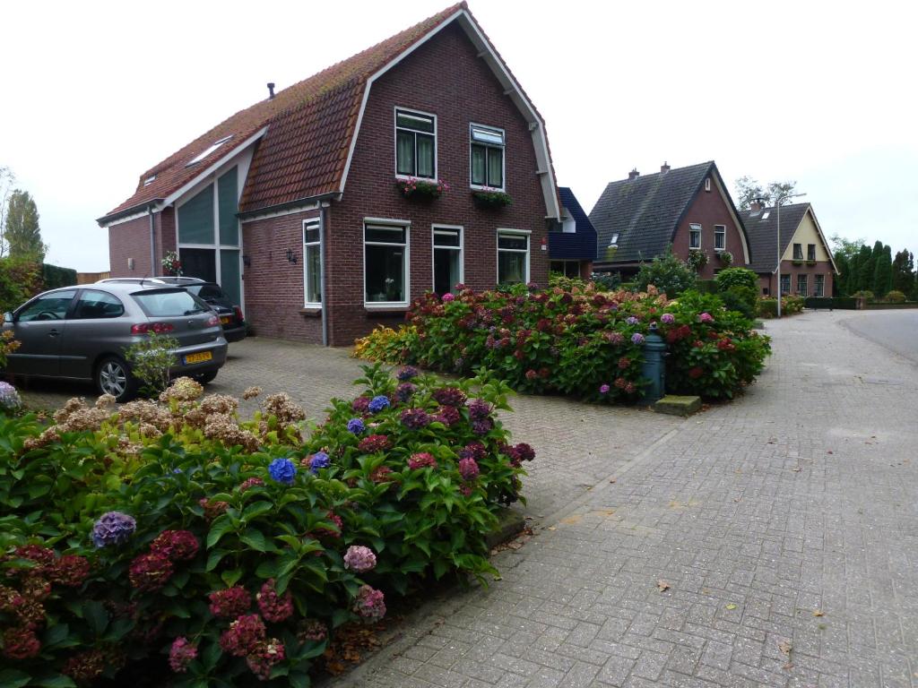 莱森Anna's B&B Rijssen的车道前有鲜花的房子