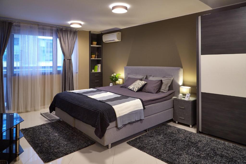 普罗夫迪夫City Center Apartments的一间卧室设有一张大床和一个窗户。