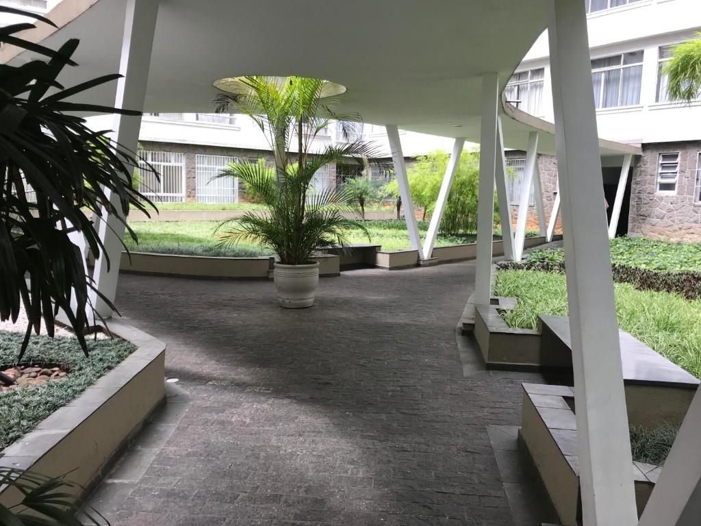 圣保罗Loft at Paulista Avenue (no coração de S.Paulo)的一座种植了棕榈树的庭院