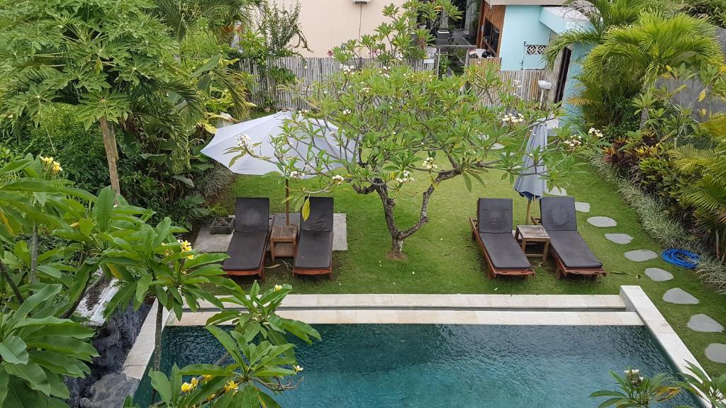 坎古克明旅馆的享有带椅子和遮阳伞的游泳池的上方景致