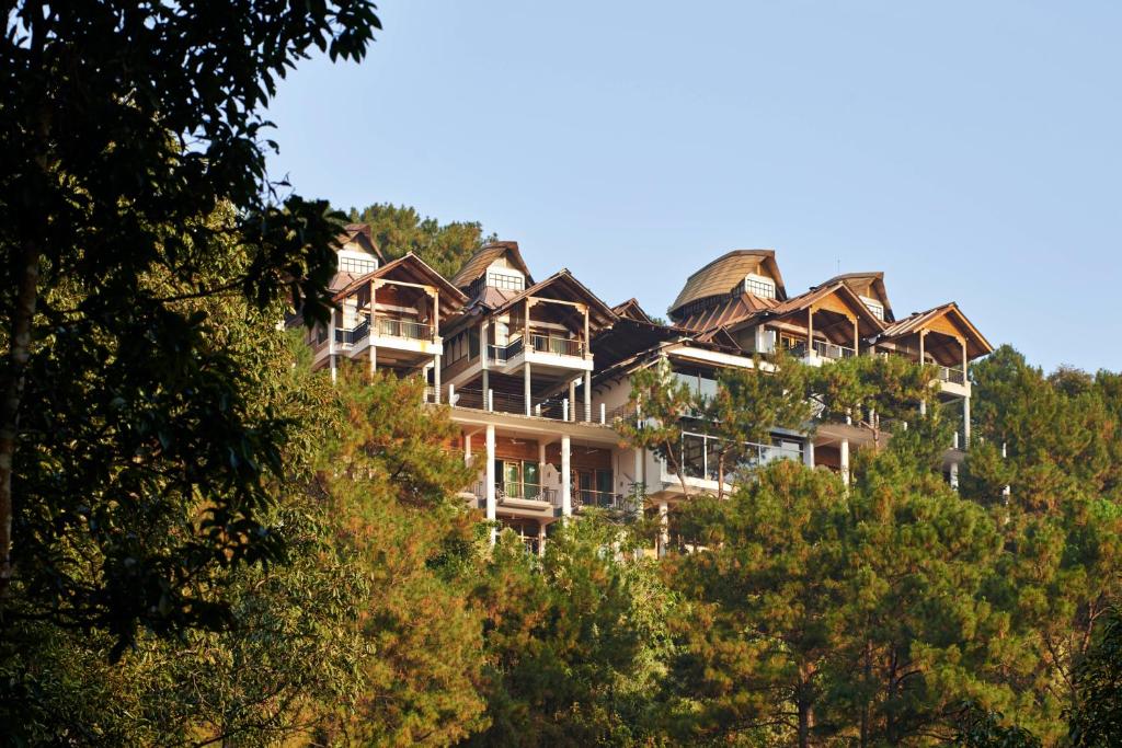 西隆Ri Kynjai Serenity by The Lake的一座大建筑,位于一座树木繁茂的山顶上