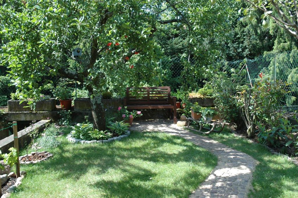 希伯维列Mirabelle Bed & Breakfast的一个带长凳和树的花园
