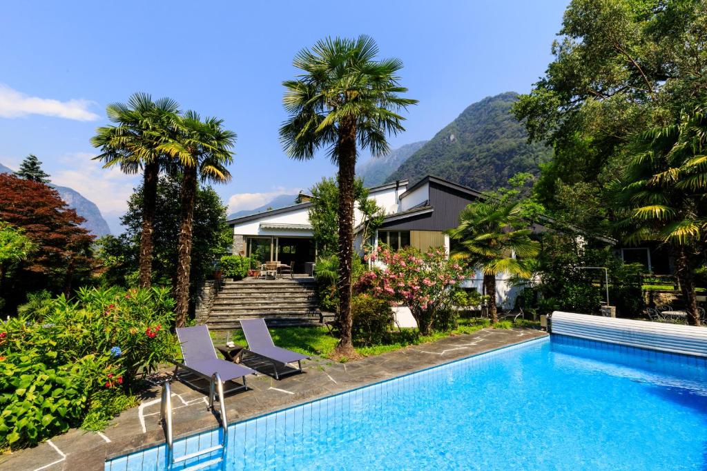 CoglioVilla delle Palme的一座带游泳池和棕榈树的房子