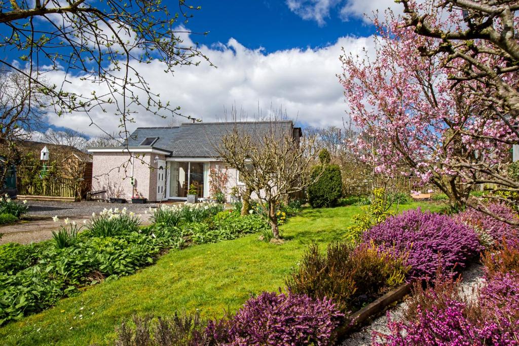巴拉Ty'r Afon - River Cottage的庭院里带花卉的花园的房子