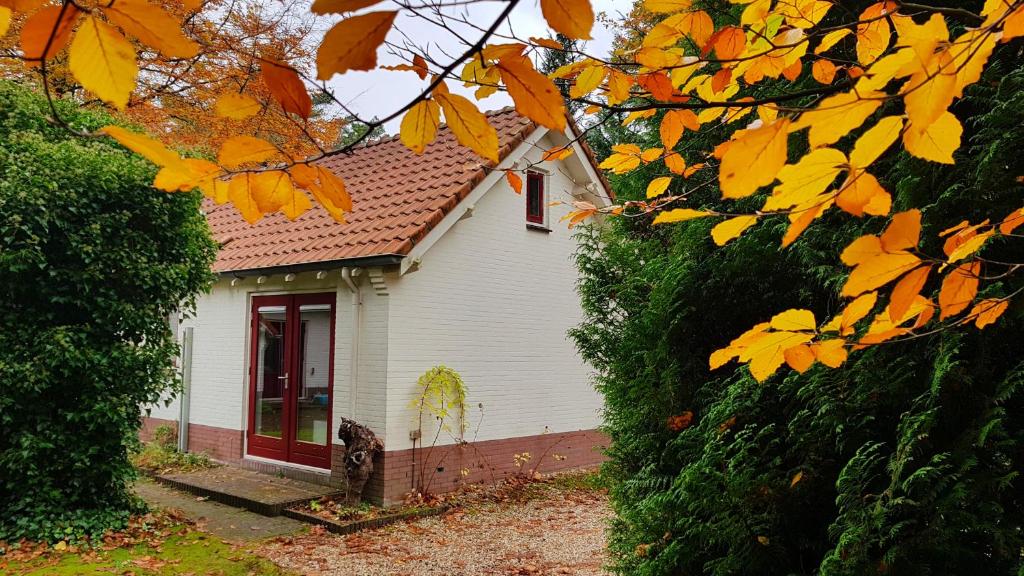 VaassenDennenhuis的一间白色的小房子,有红色的门