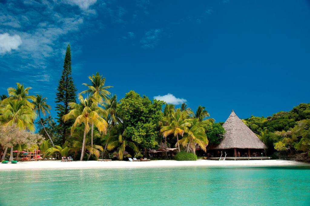 VaoOure Lodge Beach Resort的棕榈树和海滩的热带岛屿
