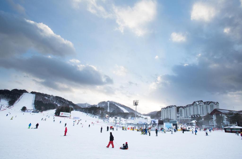 平昌龙平度假酒店的一群人,在滑雪场的雪中