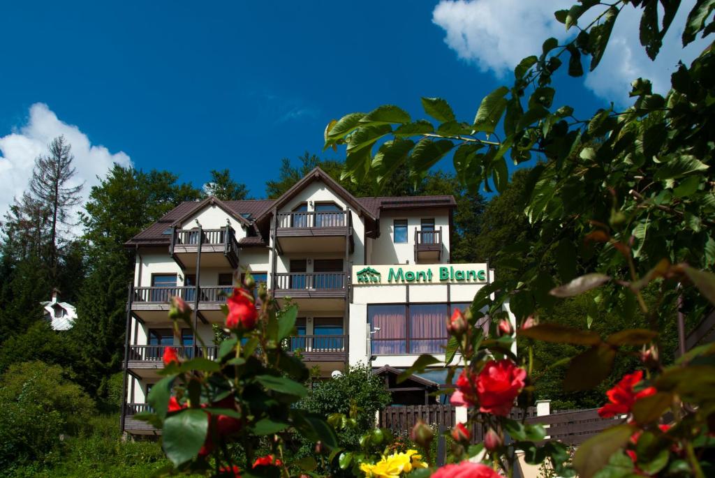 普雷代亚尔白朗峰酒店的山上的一家旅馆,前面有鲜花