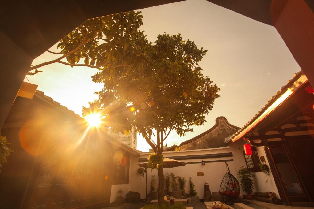 潮州潮州慢居客栈的太阳照耀的房子前的树