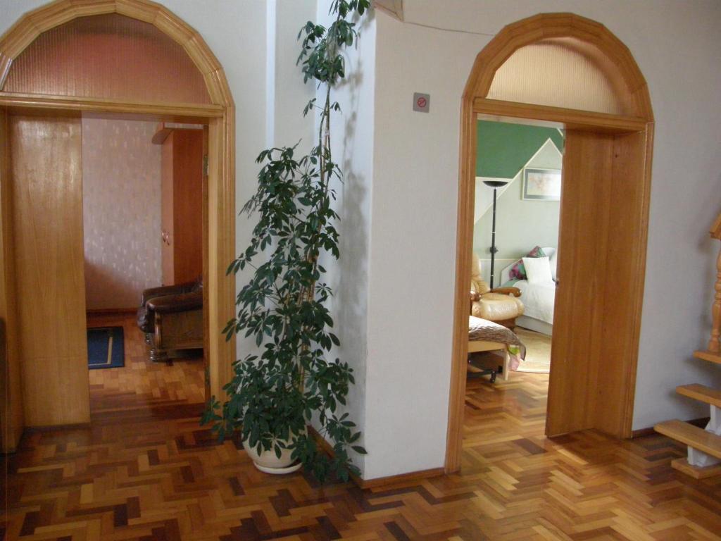 希奥利艾Home for Guests Lakštingala的客厅墙上有两株盆栽植物