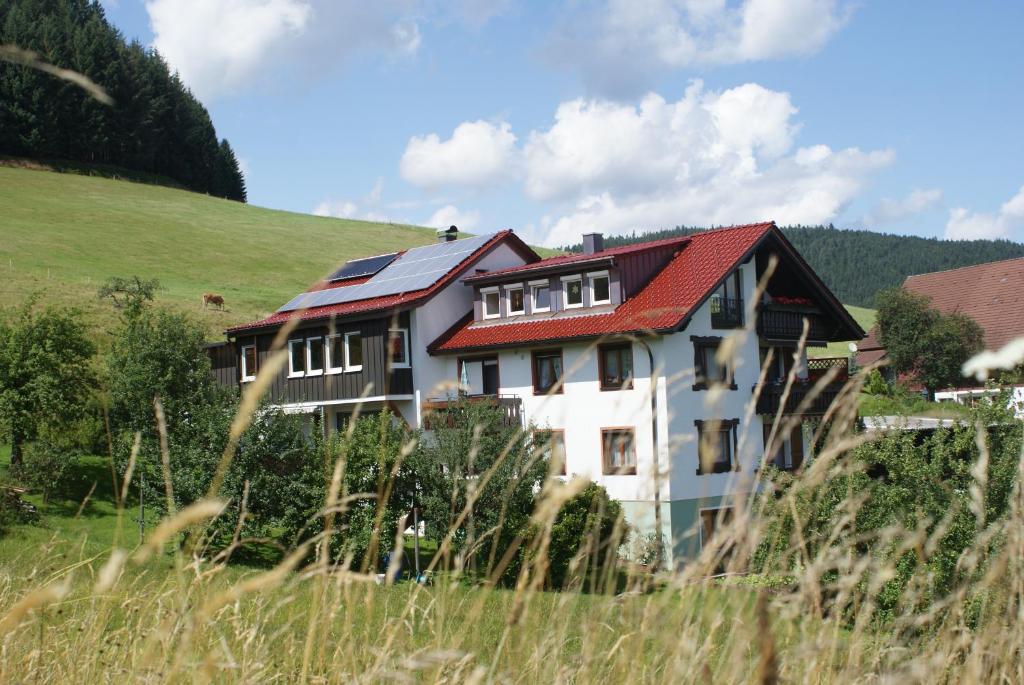 拜尔斯布龙Pension Haus-Sommerberg的山坡上一座红色屋顶的房子