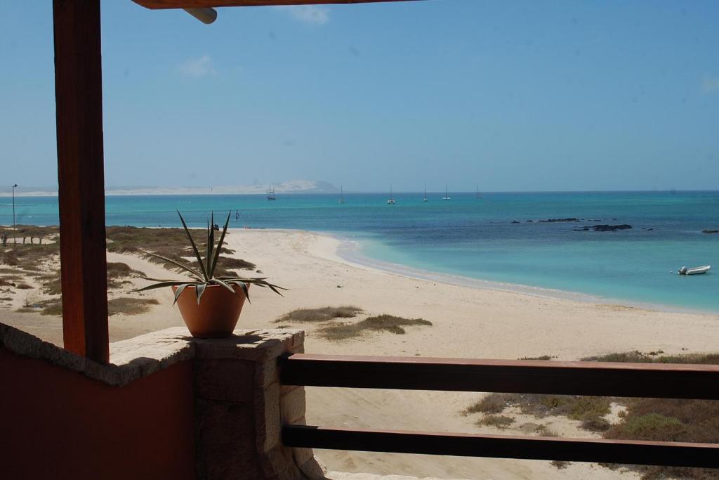 萨尔雷博阿维斯塔预订公寓的坐在阳台上的盆栽植物,俯瞰着海滩