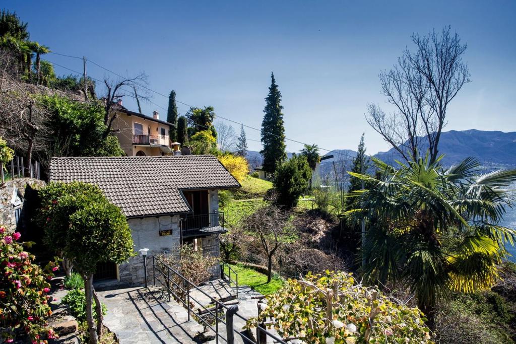 卡尼洛瑞维拉Rustico La Vigna的花园景度假屋