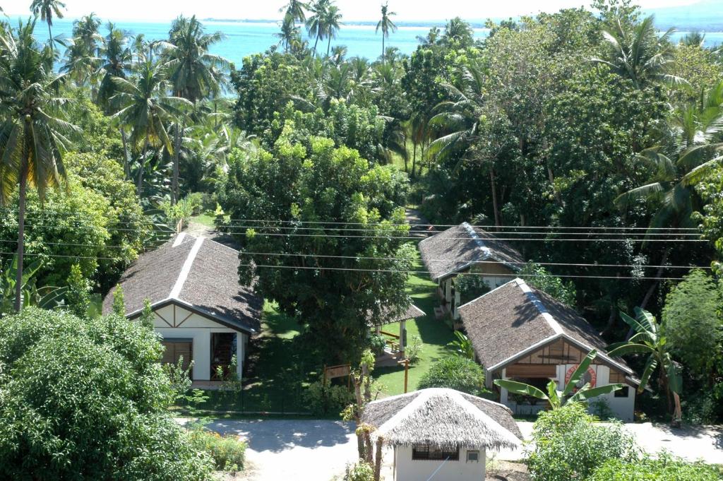 桑坦德Neptune Diving Resort Santander的相册照片