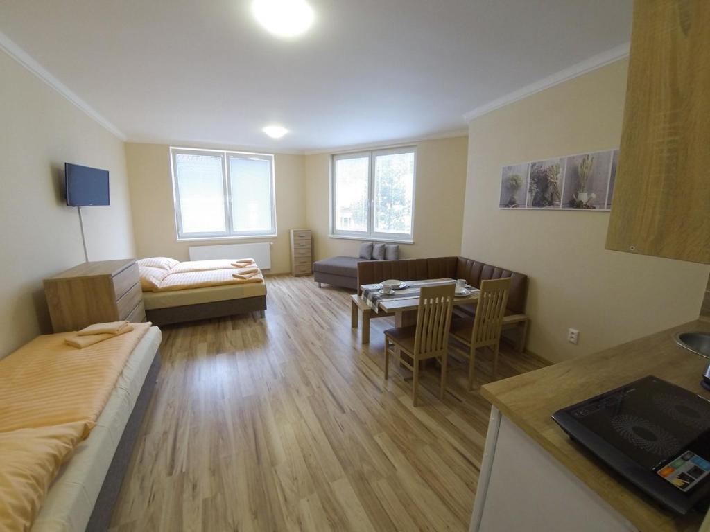 特伦钦温泉镇Apartmány ORAVA-EDDA的一间设有厨房和客厅的客房