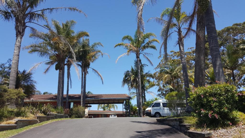 阿勒达拉塔波里湖汽车旅馆的棕榈树屋前的停车场