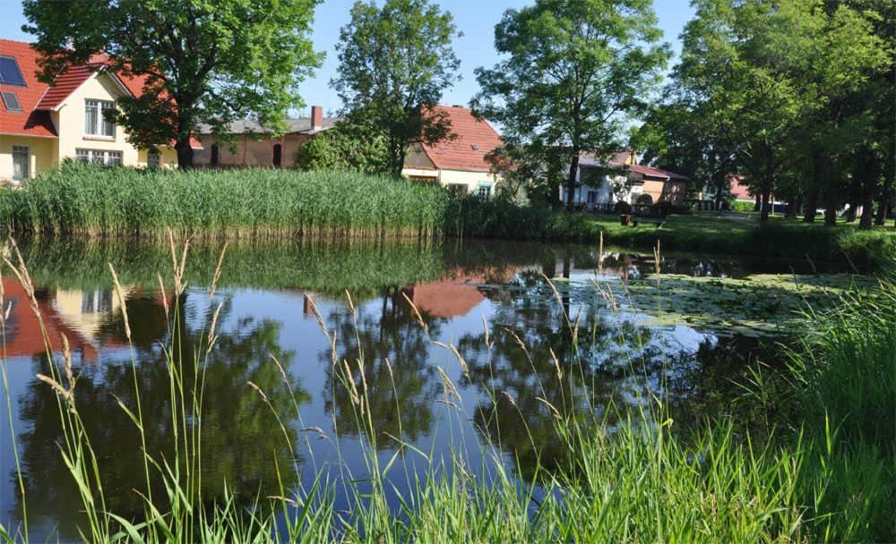 施托尔佩奥夫乌塞多姆Ferienhaus Stolpe USE 2481的水体中房屋和树木的反射
