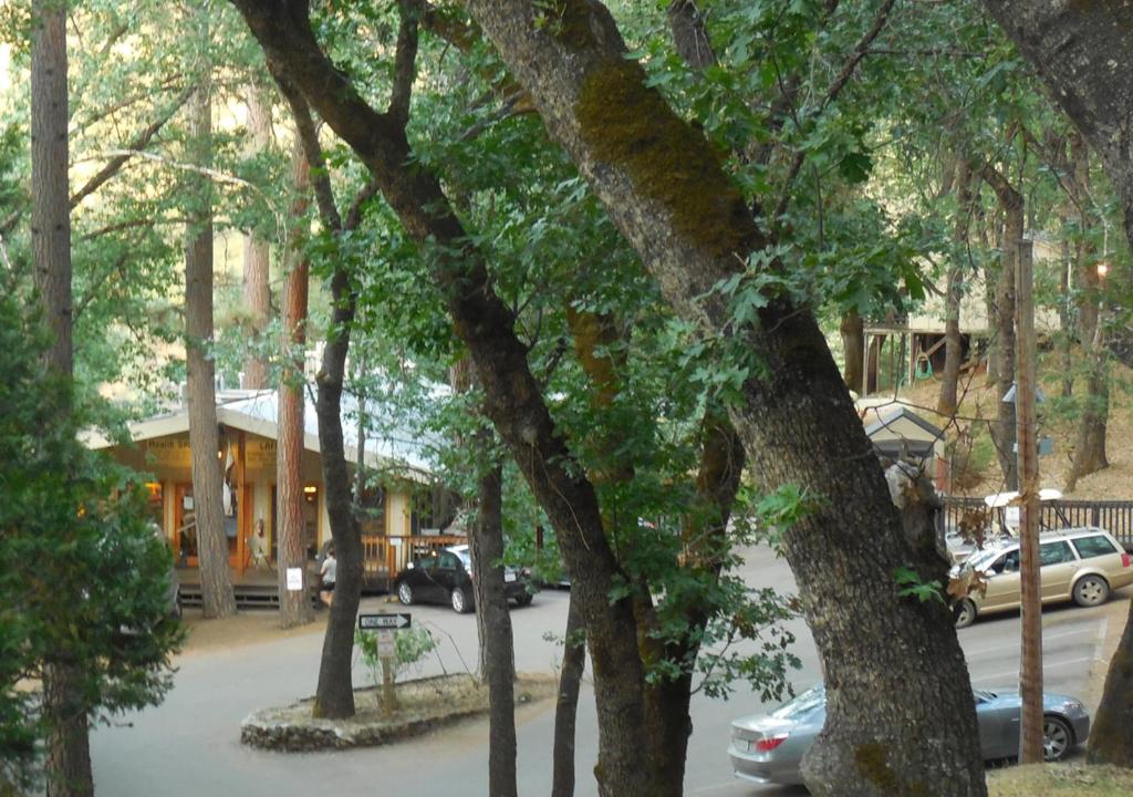 米德派恩斯优胜美地布格乡村避暑山庄酒店的一群树木和汽车停在停车场