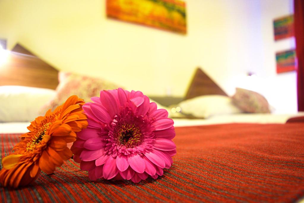 贾拉普Astro Inn Hotel Express的两朵花坐在床上
