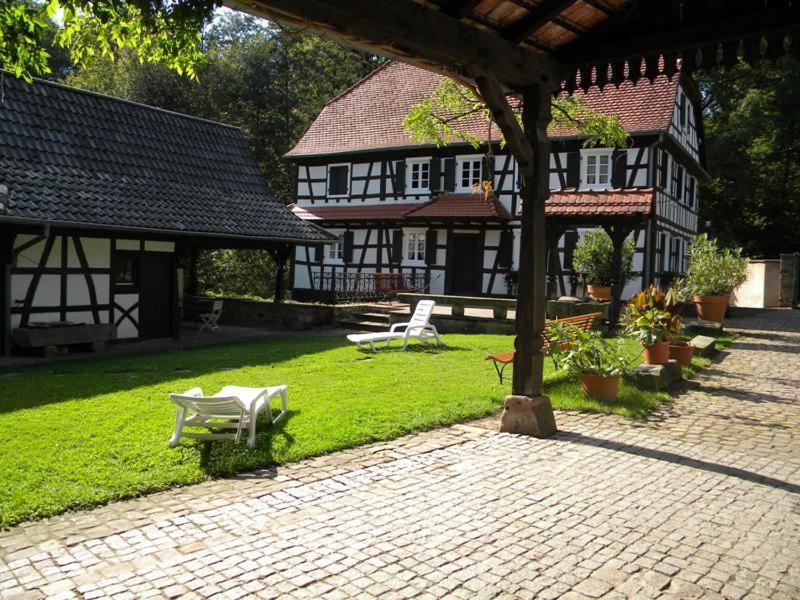 Drachenbronn费米奥贝格姆林赛普特方坦尼酒店的草屋的庭院,草地上设有长凳