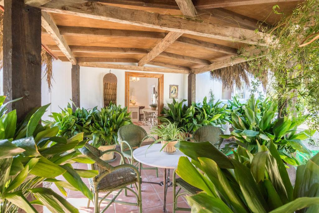 马贝拉La Casita by Teresa的庭院配有桌椅和植物