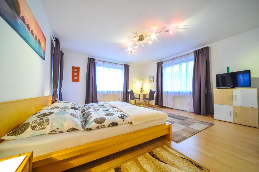 Sankt Peter-FreiensteinPrivatzimmer Haus Erika的一间卧室设有一张床、一台电视和窗户。